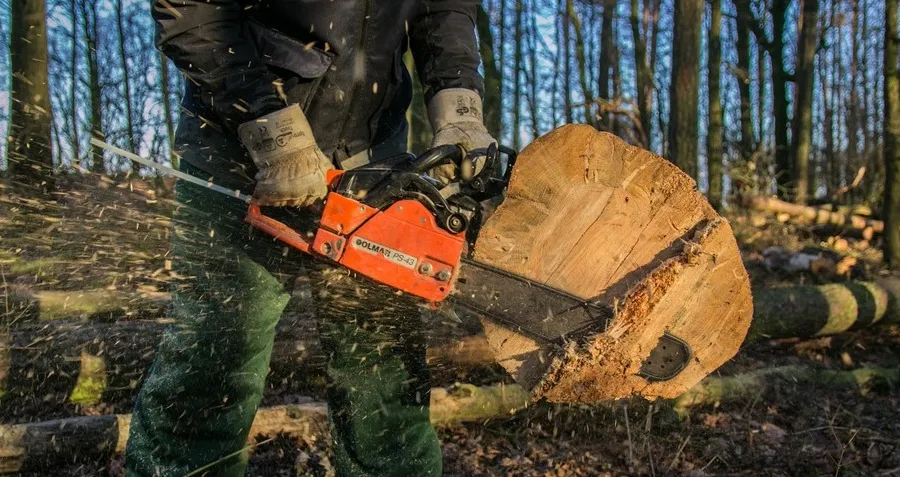 Paras moottorisaha tarjous (2026) – Vertailimme huippumallit